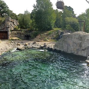 Erlebnis-Zoo Hannover- panorama photo of polar bear enclosure- 2020