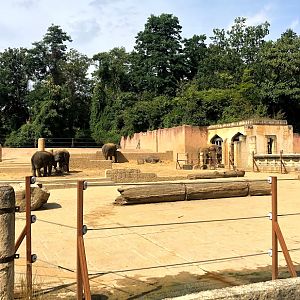 Erlebnis-Zoo Hannover- Asian elephant enclosure- 2020