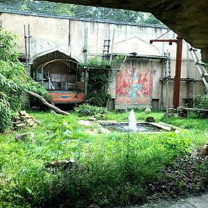 Erlebnis-Zoo Hannover.- Persian leopard exhibit- 2020