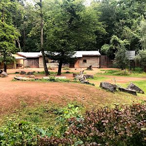 Erlebnis-Zoo Hannover- kangaroo and emu enclosure