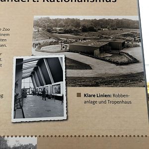 Erlebnis-Zoo Hannover- historic pictures of the old aquatic exhibits and the tropical house- 2020