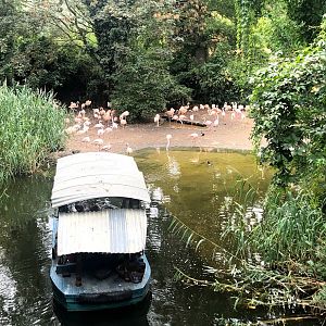 Erlebnis-Zoo Hannover- view onto boat tour and flamingo group- 2020