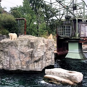 Erlebnis-Zoo Hannover- Milana with her daughter Nana- 2020