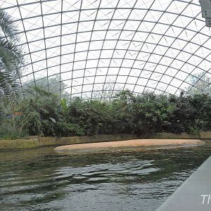 Hippopotamus exhibit [2017]