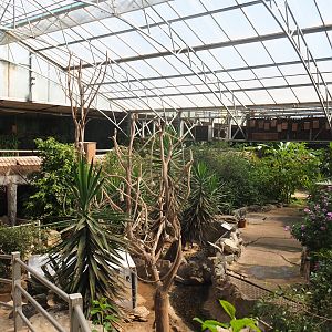 View in the tropical hall, 2020-06-20