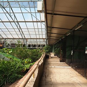 Walkway alongside aviaries on the second level of the tropical hall, 2020-06-20