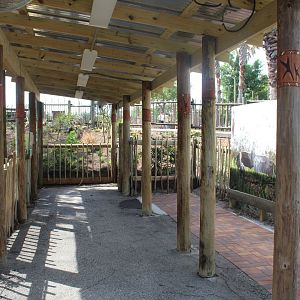 Shoebill Stork Exhibit Viewing Area (New in 2021)