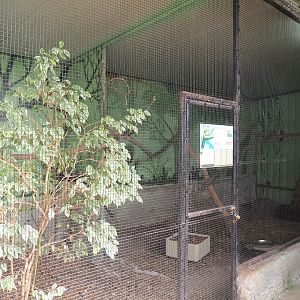 Red-crested turaco and Von der Decken's hornbill aviary, 2020-06-20