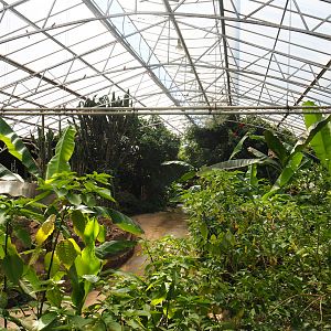 View in tropical hall, 2020-06-20