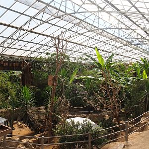 View in the tropical hall, 2020-06-20