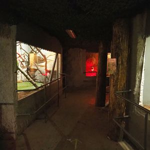View in the reptile corridor underneath the tropical hall, 2020-06-20
