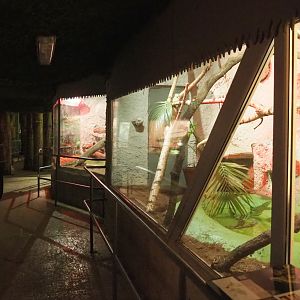 View in the reptile corridor underneath the tropical hall, 2020-06-20