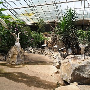 View in the tropical hall near the tortoise paddocks, 2020-06-20