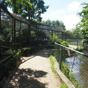 Walkway and viewing area crane exhibits and owl and raptor aviaries, 2020-06-20