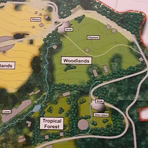 Possible Future plans3