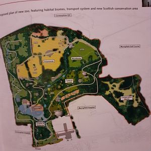 Possible Future plans1