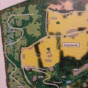 Possible Future plans4