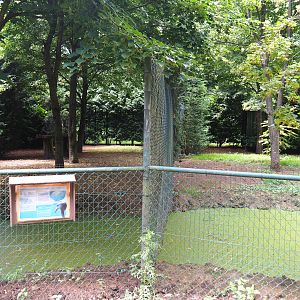 Crane exhibits, 2020-06-20