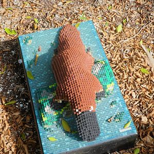 BRICKLIVE! Animal Paradise - Platypus