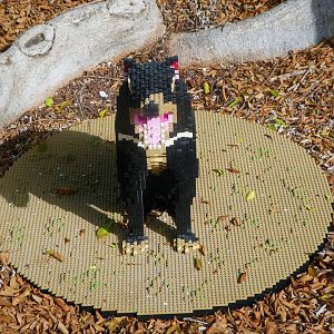 BRICKLIVE! Animal Paradise - Tasmanian Devil