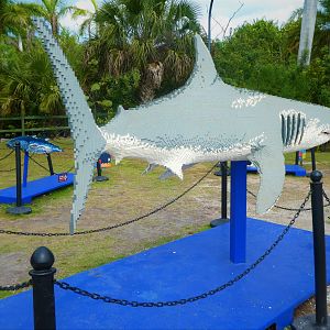 BRICKLIVE! Animal Paradise - Mako Shark