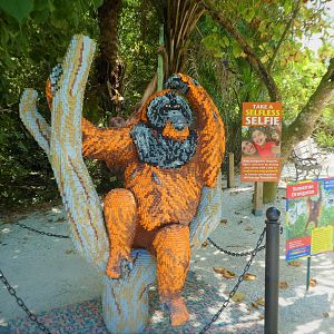 BRICKLIVE! Animal Paradise - Sumatran Orangutan