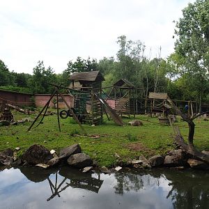 Black-capped capuchin and capybara island, 2020-06-20