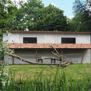 Black-and-white ruffed lemur house and island, 2020-06-20