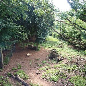 Emu paddock, 2020-06-20