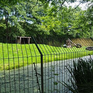 Former tiger exhibit - Now housing a mountain lion, 2020-06-20