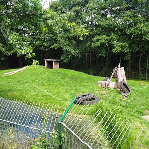Former tiger exhibit - Now housing a mountain lion, 2020-06-20