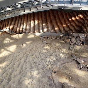 Inside elephant house