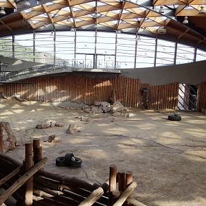 Inside elephant house