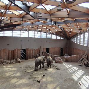 Inside elephant house