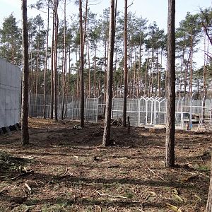 New tiger enclosure under constuction