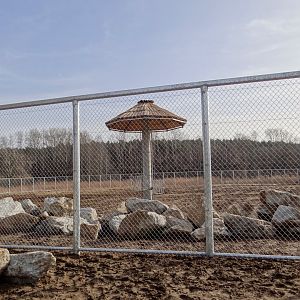 New giraffe paddock