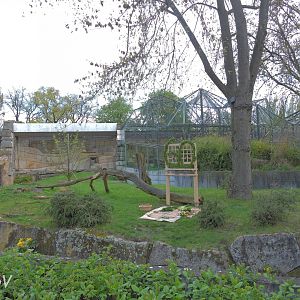 Fatou the gorilla's exhibit [2017]