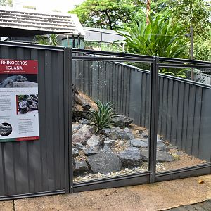 Rhino Iguana Enclosure