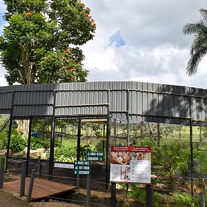 Spider Monkey Enclosure