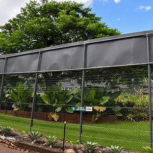 Future Gibbon Enclosure