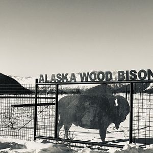 Bison Gate