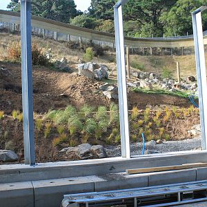 Construction of lemur enclosure