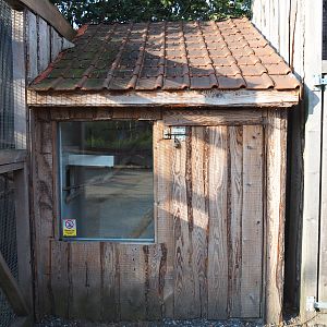 Second parakeet and small parrot barn, 2020-09-12