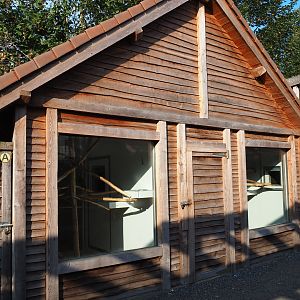 Amazon parrot, Congo African grey parrot, Galah and Macaw house, 2020-09-12