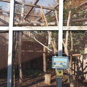 One of the three macaw aviaries (Blue-and-gold macaw and Green-winged macaw pair), 2020-09-12