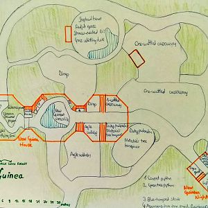 Biotopes That Zoos Usually Forget.   1. New Guinea