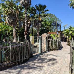Entrance area to new Shoebill Stork area