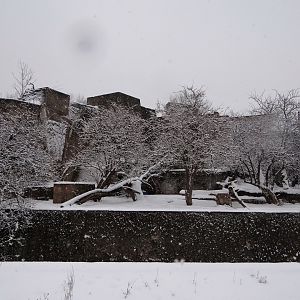 Sumatran Tiger enclosure
