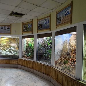 Inside Reptile House