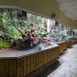 Inside Reptile House